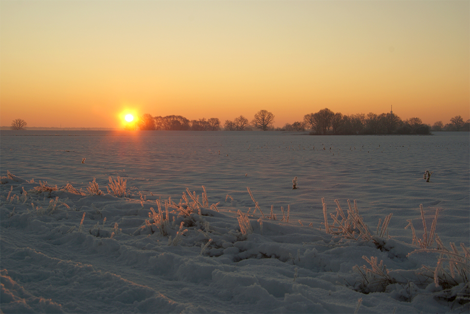 Sonnenaufgang im Winter