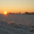 Sonnenaufgang im Winter