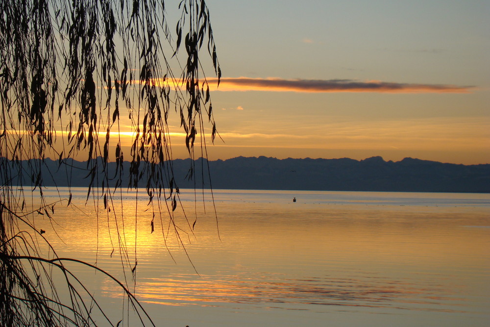 Sonnenaufgang im Winter