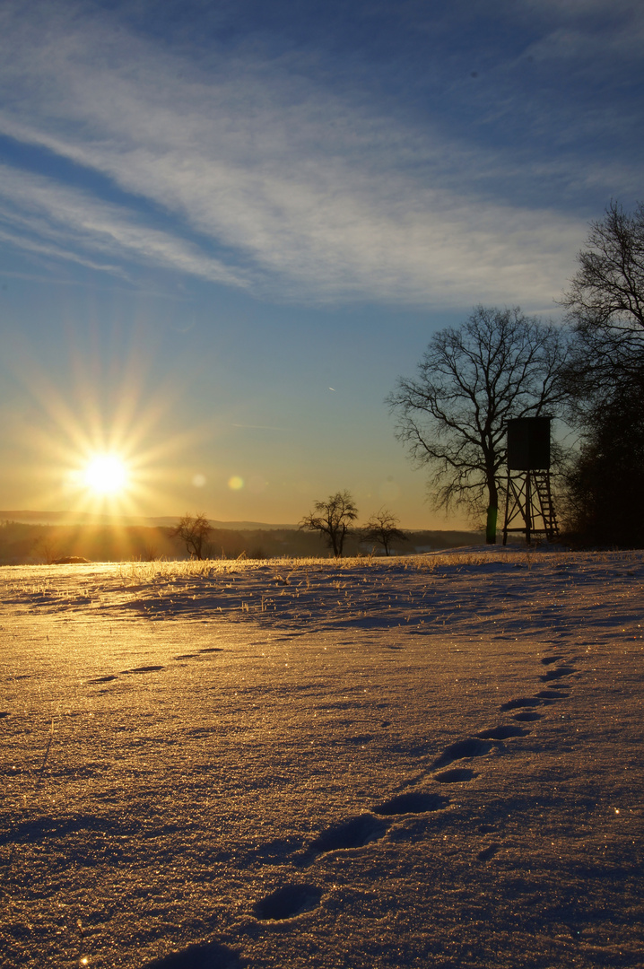 Sonnenaufgang im Winter 