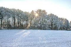 Sonnenaufgang im Winter