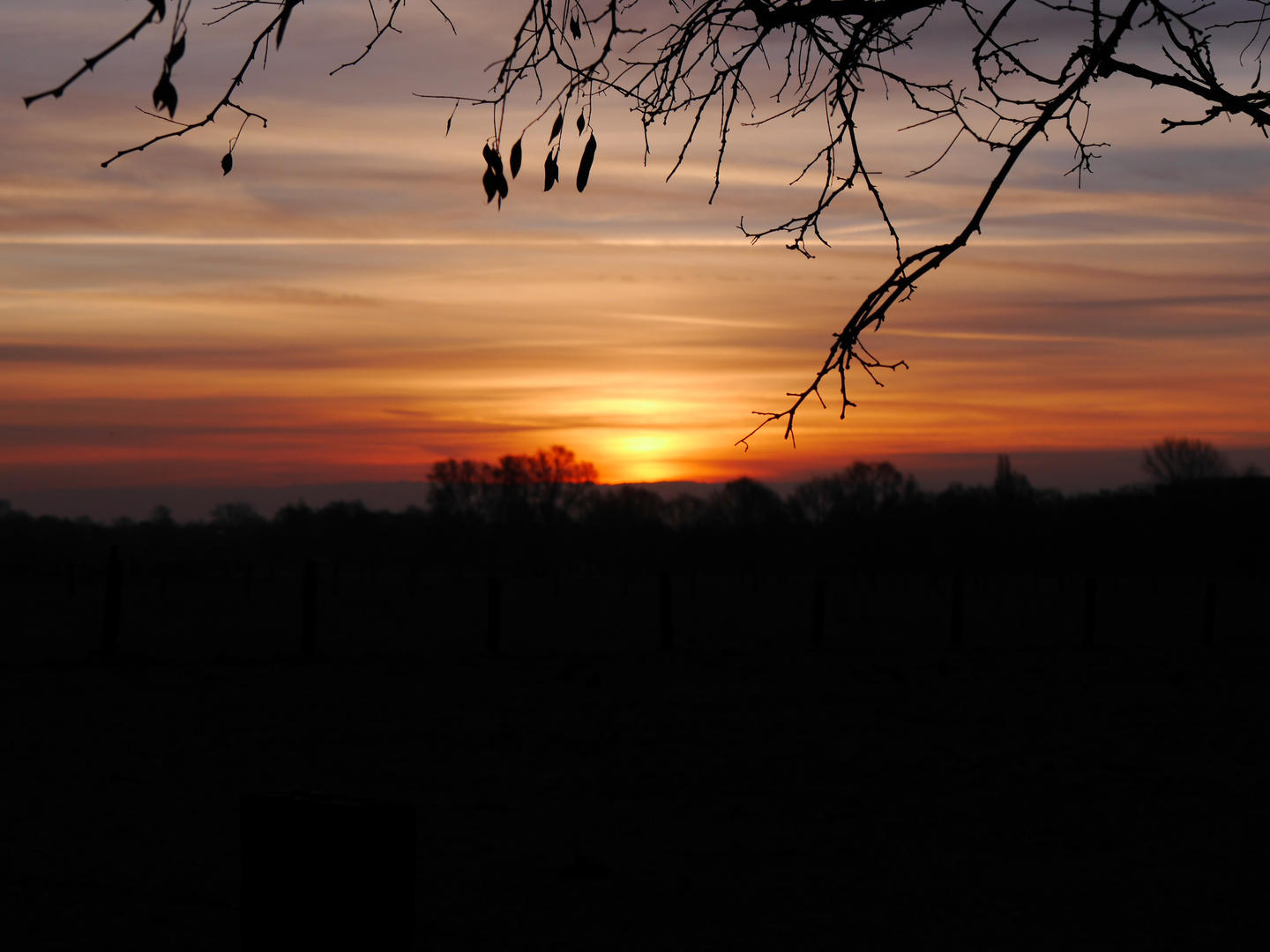 Sonnenaufgang im Winter