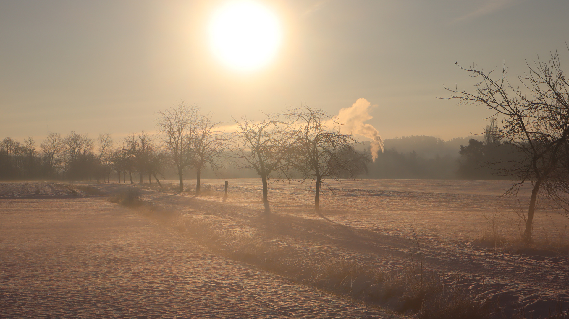 Sonnenaufgang im Winter