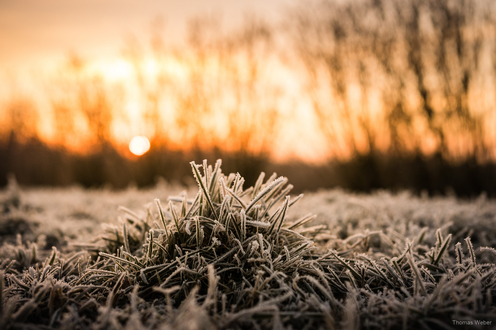 Sonnenaufgang im Winter