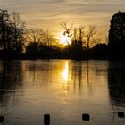 Sonnenaufgang im Winter am See