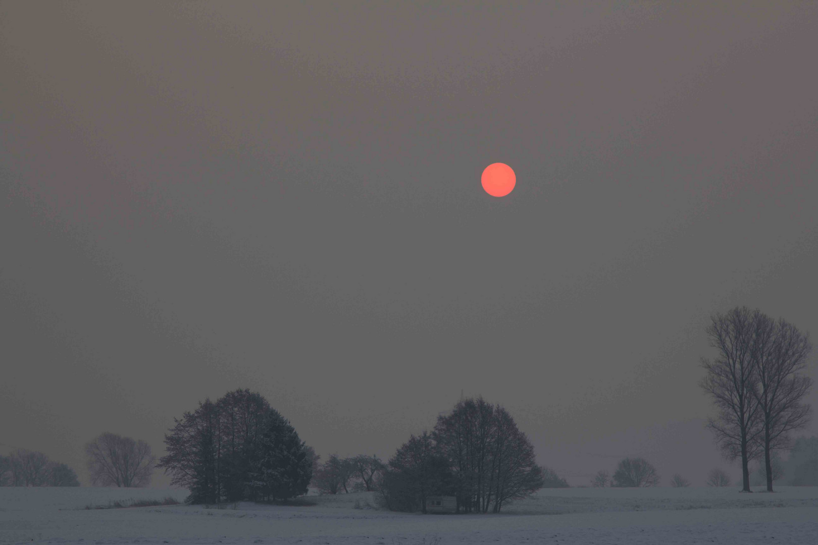 Sonnenaufgang im Winter