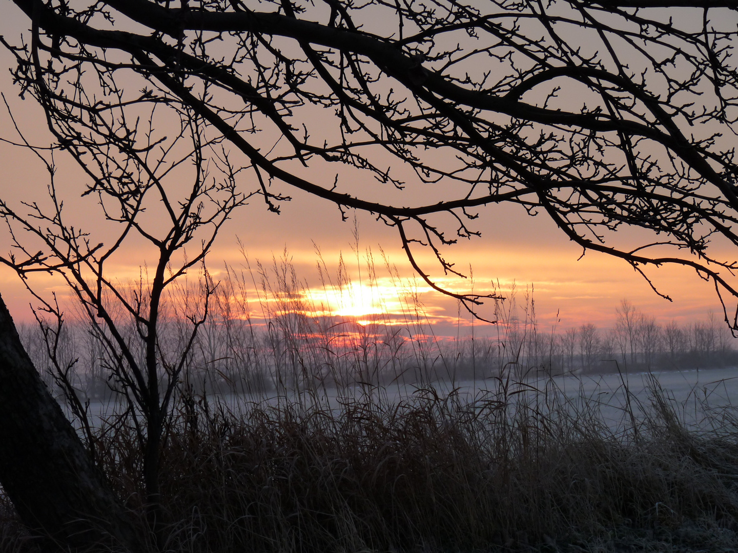 Sonnenaufgang im Winter