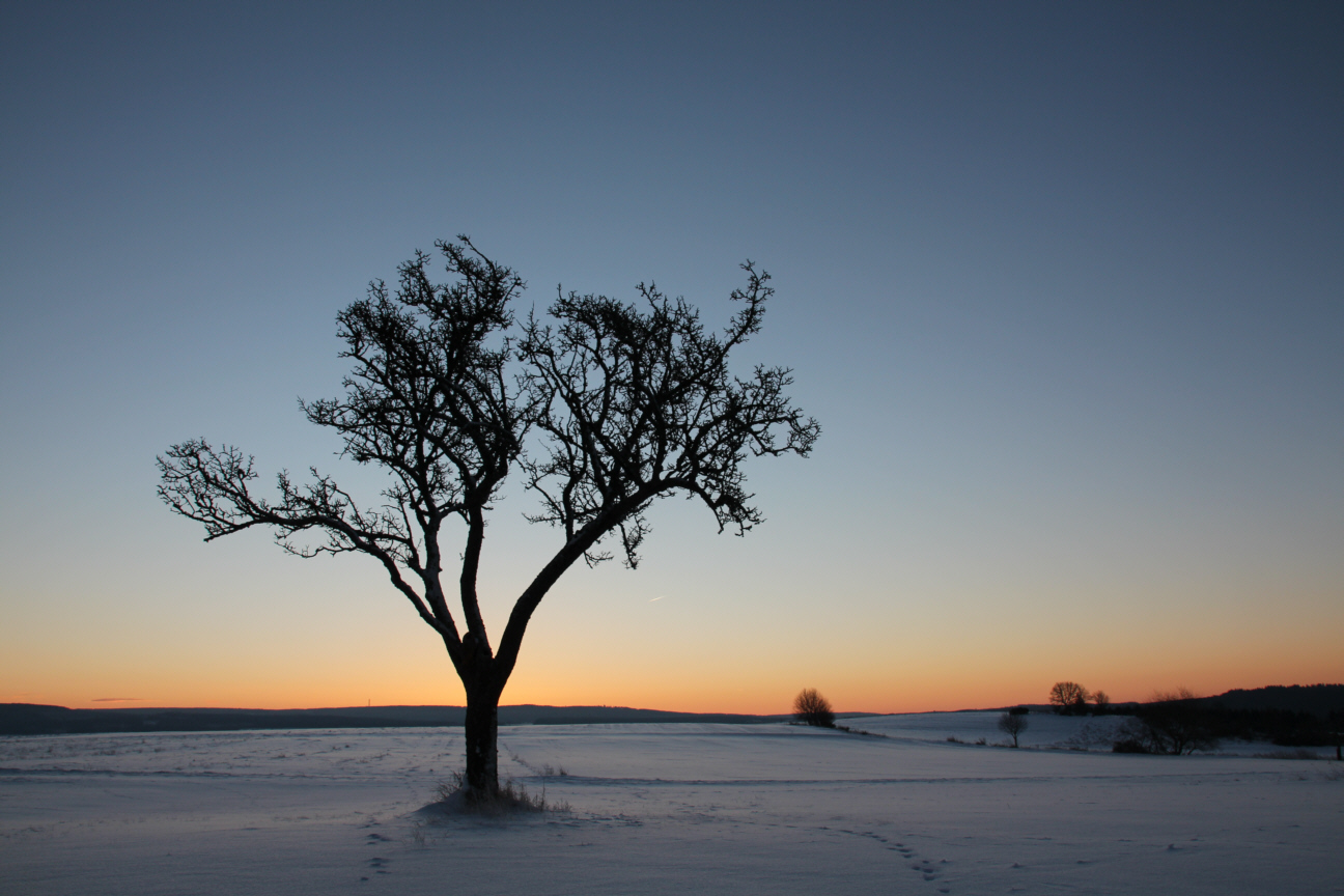 Sonnenaufgang im Winter