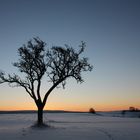 Sonnenaufgang im Winter