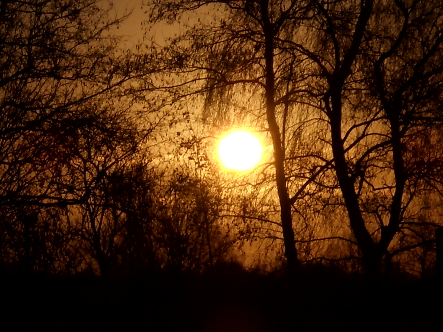 Sonnenaufgang im Winter