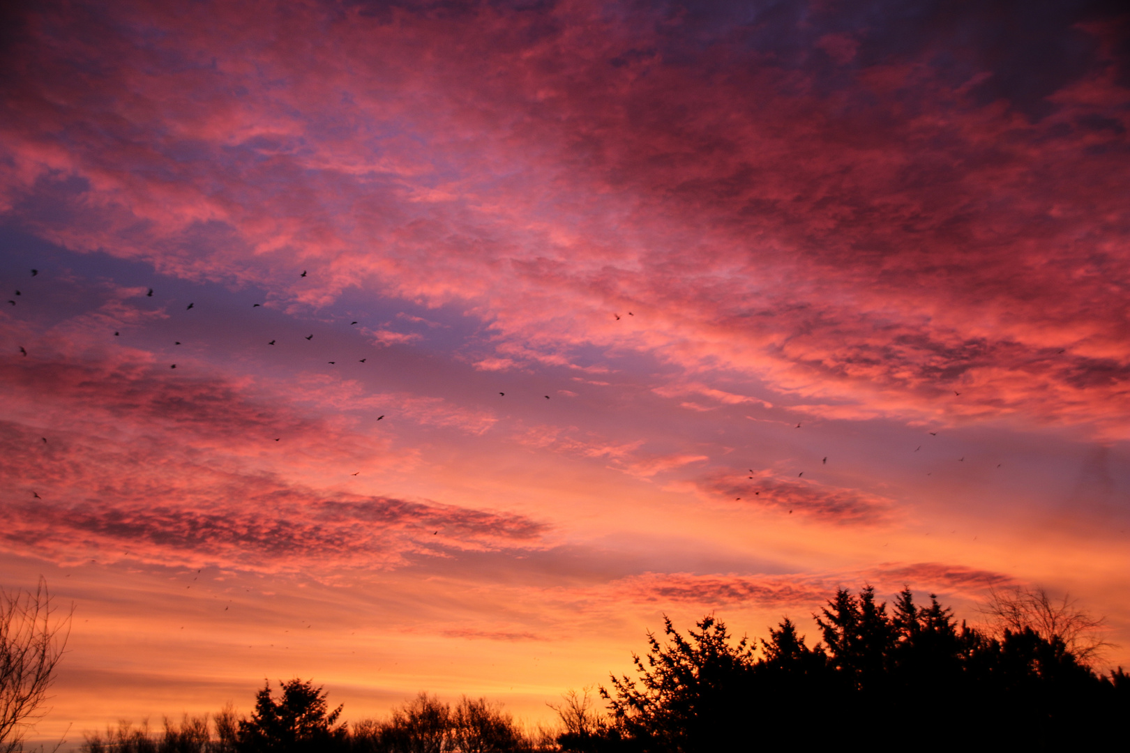 Sonnenaufgang im Winter