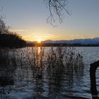 Sonnenaufgang im Winter über dem Greifensee