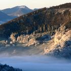 Sonnenaufgang im winterlichen Jura