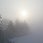 Sonnenaufgang im Winternebel 1