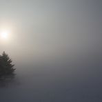 Sonnenaufgang im Winternebel 2