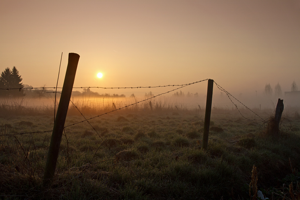 Sonnenaufgang im Wolfsanger