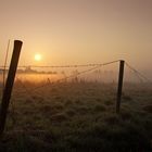 Sonnenaufgang im Wolfsanger