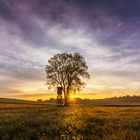 Sonnenaufgang im Würmtal