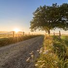 Sonnenaufgang im Würselner Wald