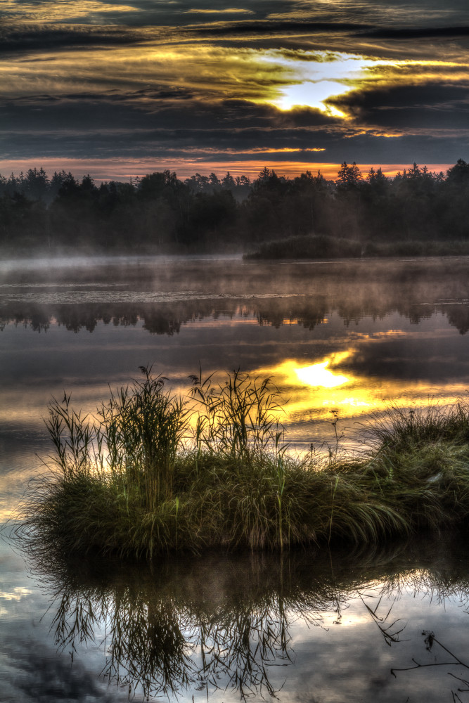 Sonnenaufgang im Wurzacher Ried