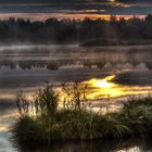 Sonnenaufgang im Wurzacher Ried