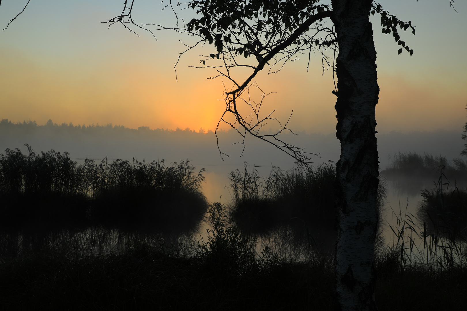 Sonnenaufgang im Wurzacher Ried