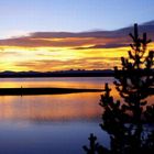 Sonnenaufgang im Yellowstone National Park