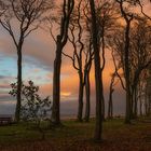 Sonnenaufgang im Zauberwald