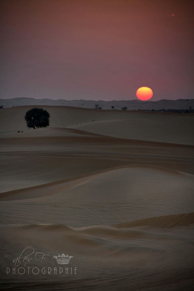Sonnenaufgang in Abu Dhabi