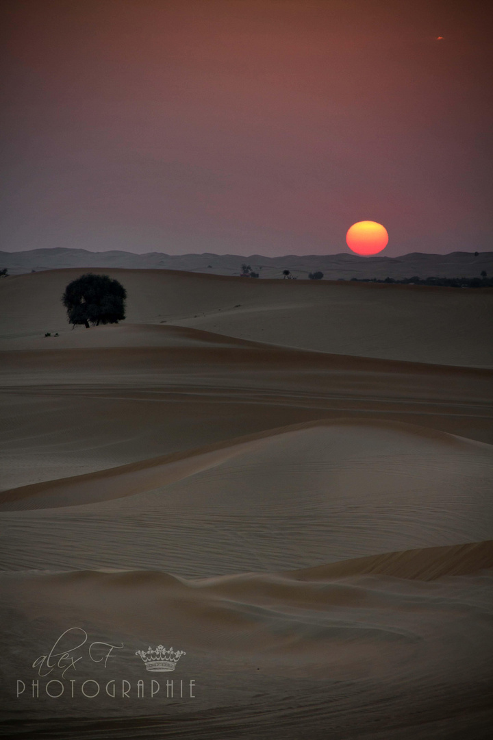 Sonnenaufgang in Abu Dhabi