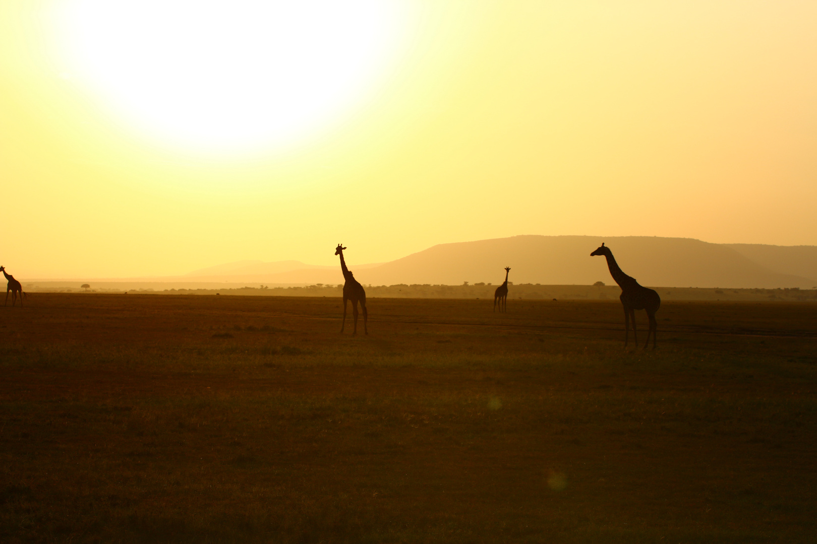 Sonnenaufgang in Afrika 