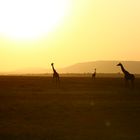 Sonnenaufgang in Afrika 