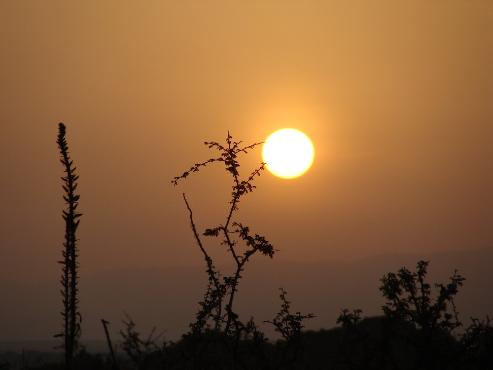 Sonnenaufgang in Afrika