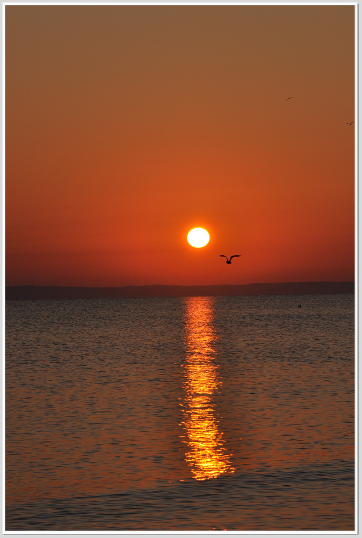 Sonnenaufgang in Ahlbeck