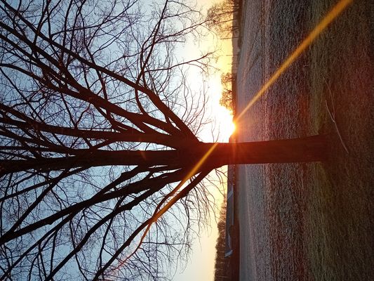 Sonnenaufgang in Alfter-Volmershoven/Heidgen