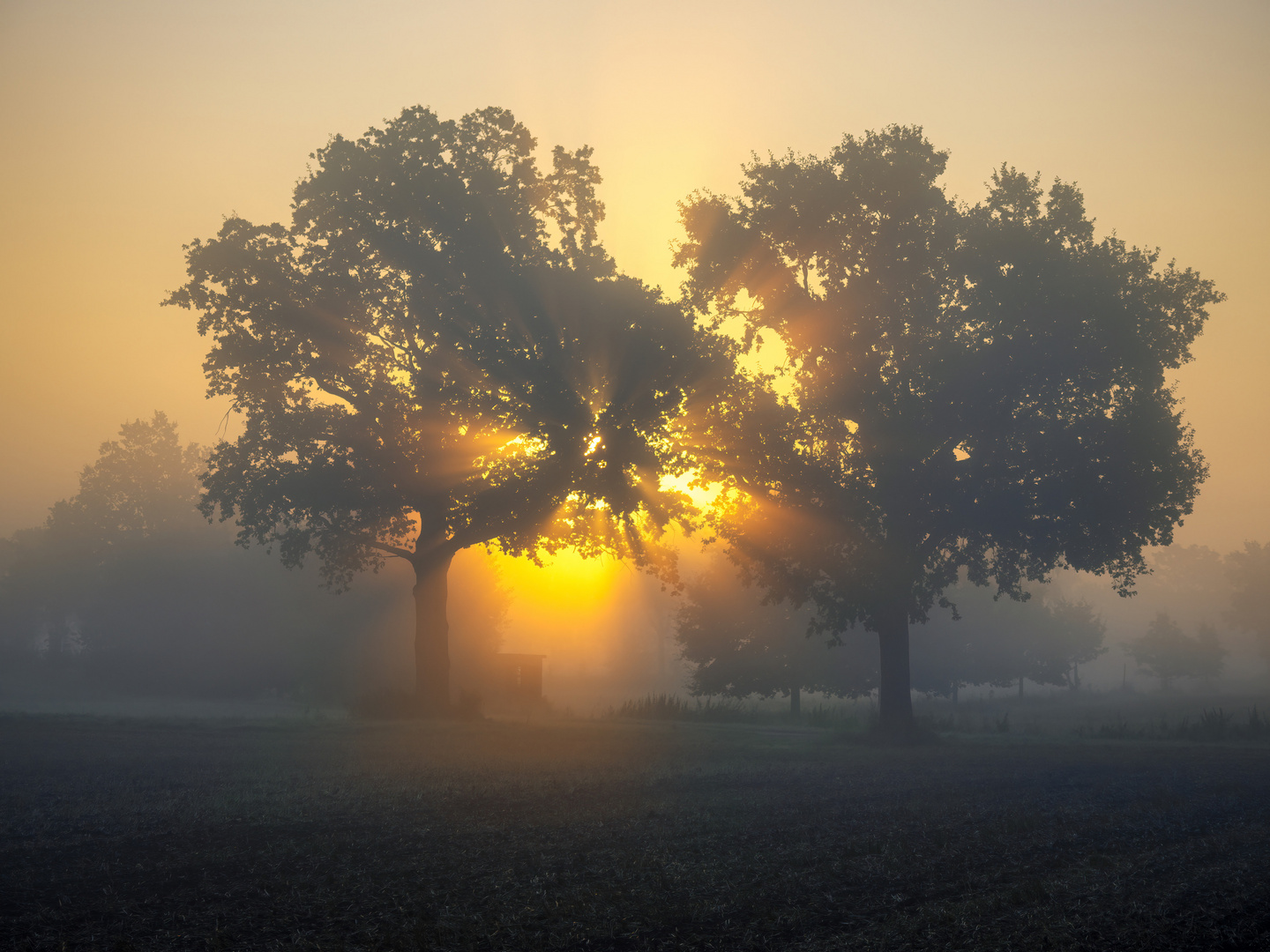 Sonnenaufgang in Altmerdingsen