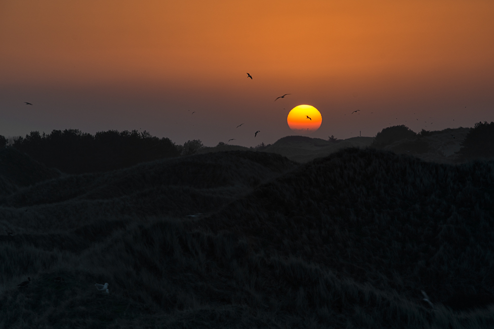 Sonnenaufgang in Amrum mitten in den Dünen