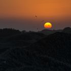 Sonnenaufgang in Amrum mitten in den Dünen