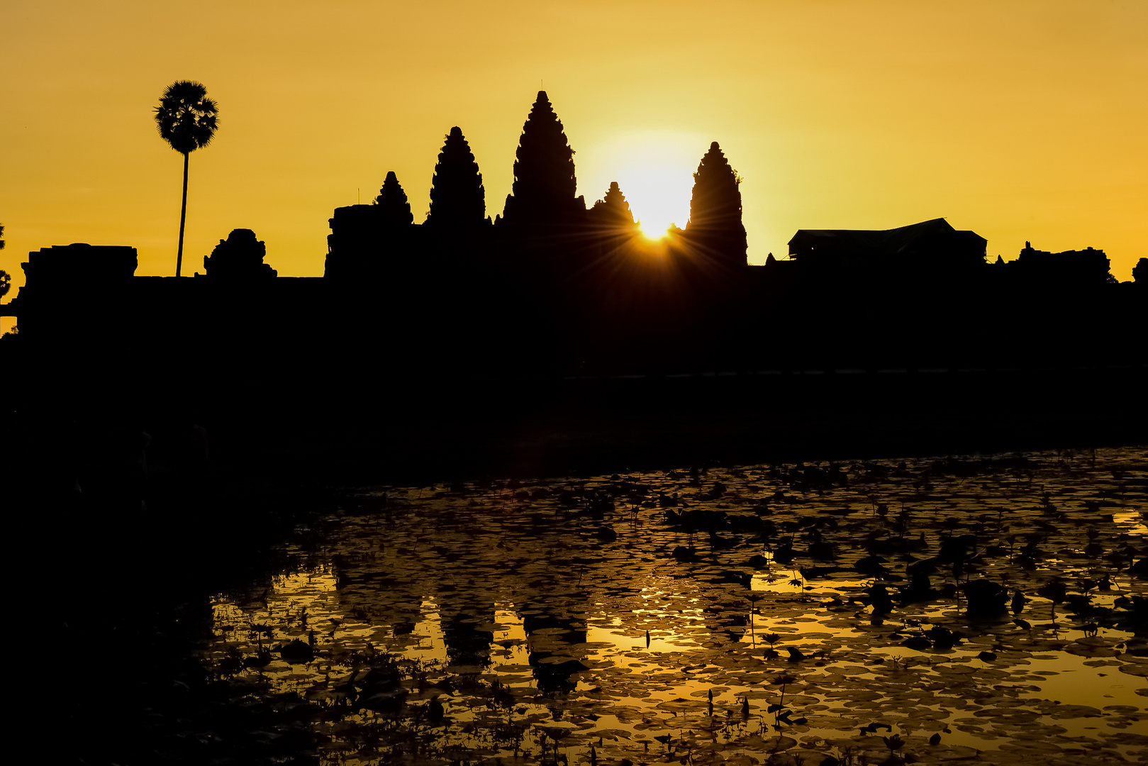 Sonnenaufgang in Ankor Wat