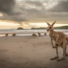 Sonnenaufgang in Australien