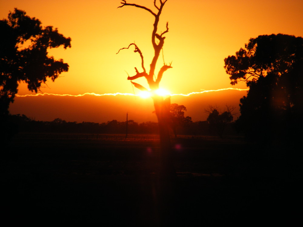 Sonnenaufgang in Australien zwischen Bendigo und Sydney