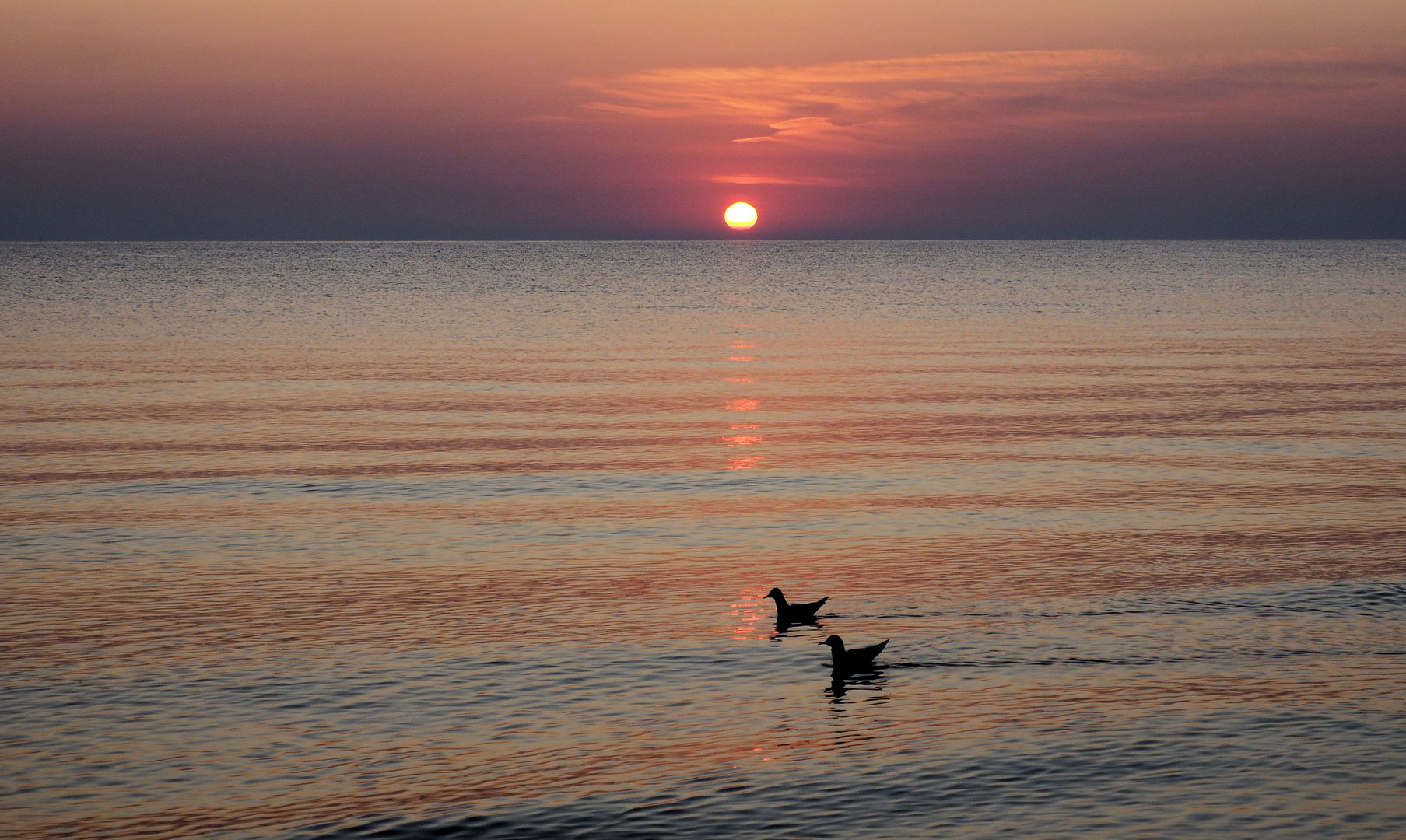 Sonnenaufgang in Baabe...