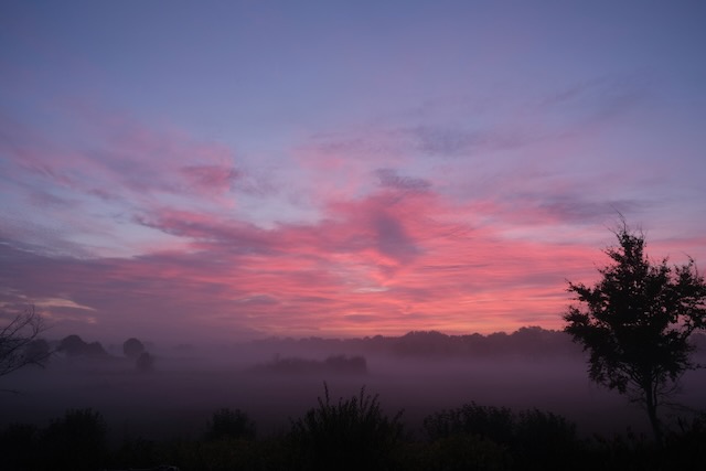 Sonnenaufgang in Bad Bramstedt