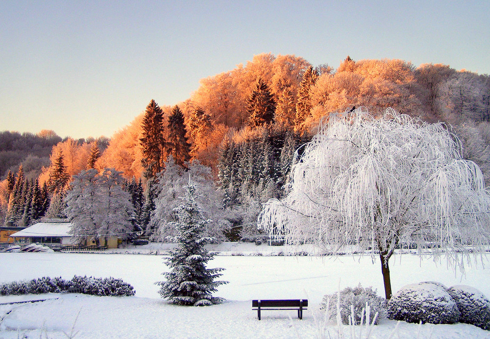 Sonnenaufgang in Bad Iburg Januar 2009