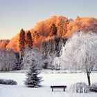 Sonnenaufgang in Bad Iburg Januar 2009