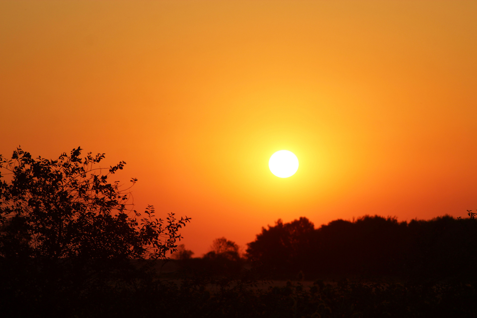 Sonnenaufgang in Bensersiel