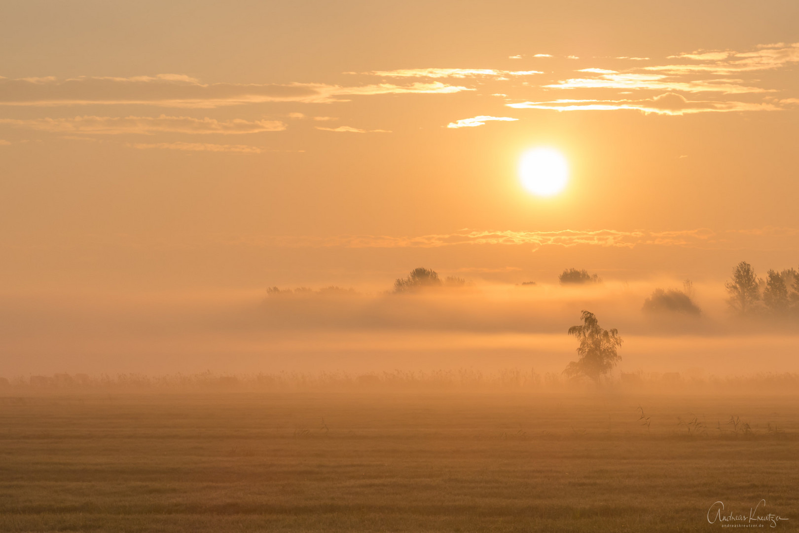 Sonnenaufgang in Billwerder