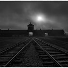 sonnenaufgang in birkenau