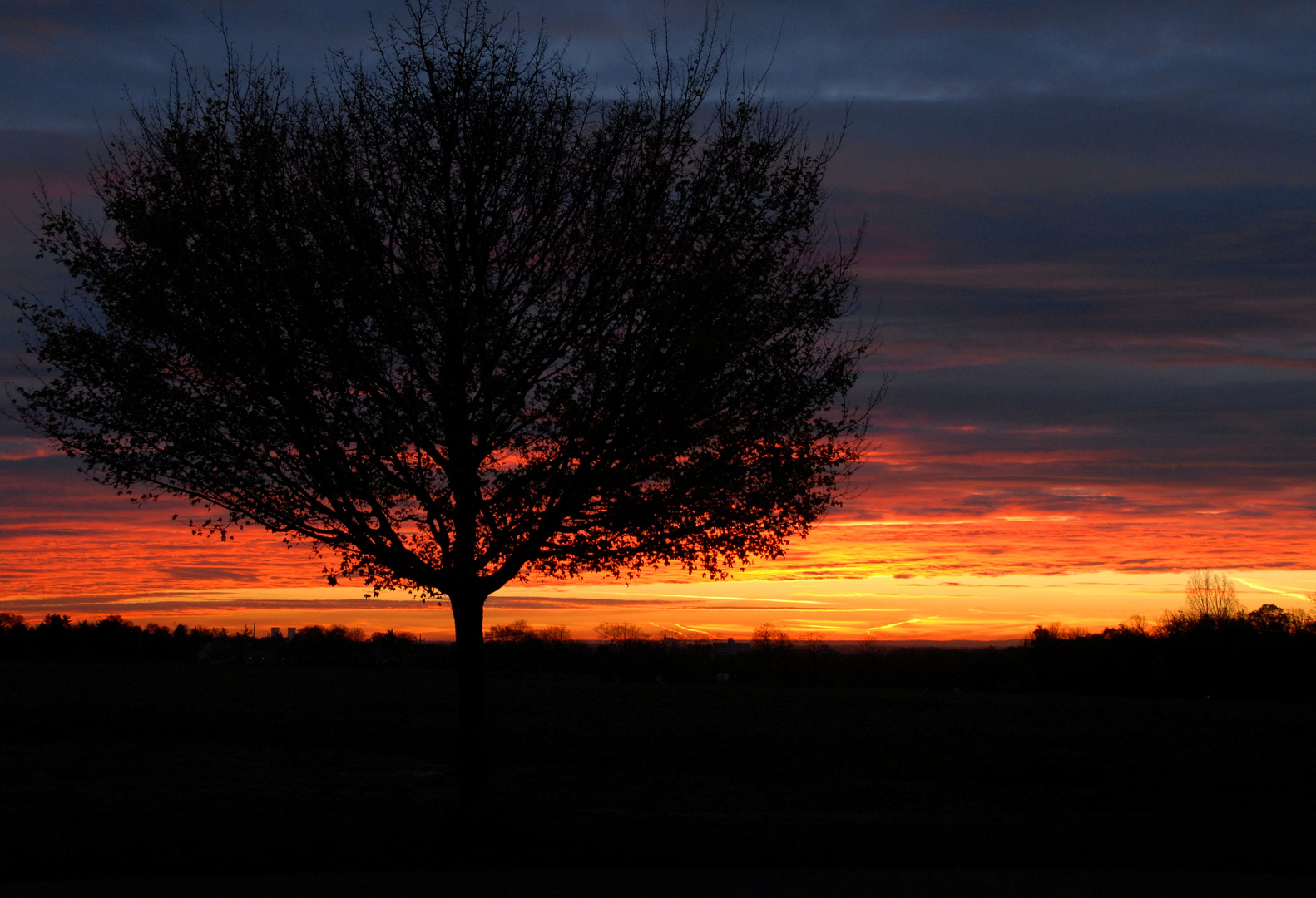 Sonnenaufgang in Bockum