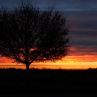 Sonnenaufgang in Bockum